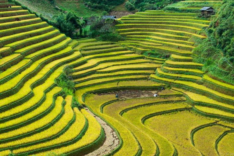 Trôi theo dòng chảy