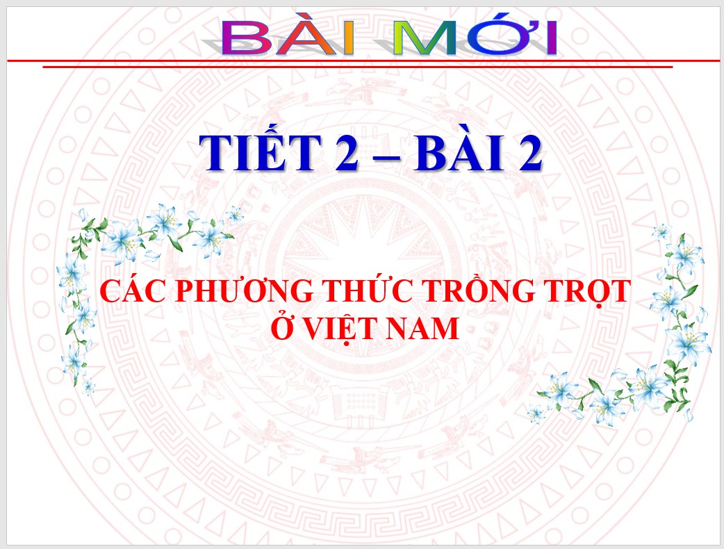 Bài 2 : Các phương thức trồng trọt ở Việt Nam