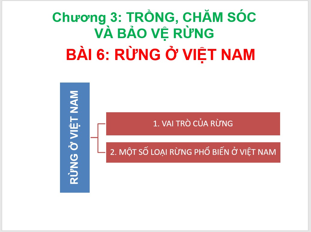 Bài 6 : Rừng ở Việt Nam